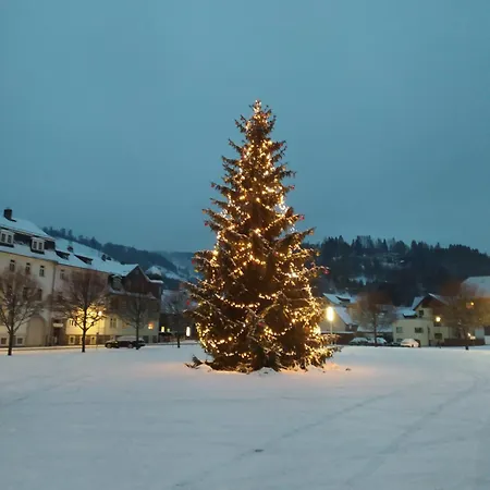 Steinachblick Апартаменты *