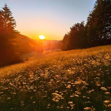 Steinachblick * Штайнах