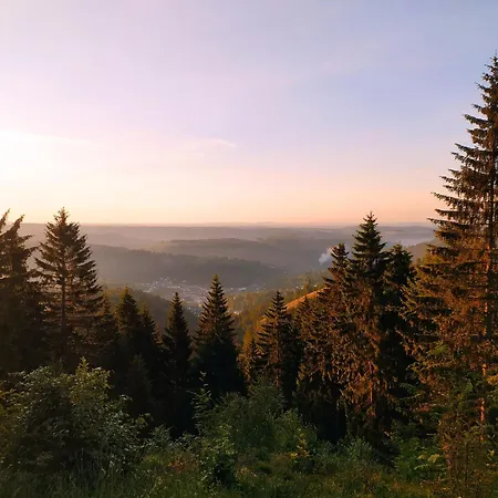 Steinachblick Апартаменты Штайнах