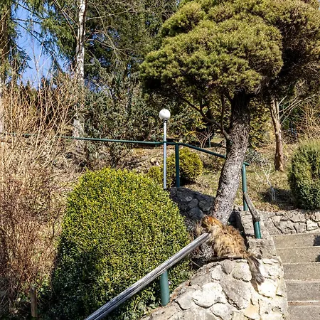 Steinachblick Διαμέρισμα *