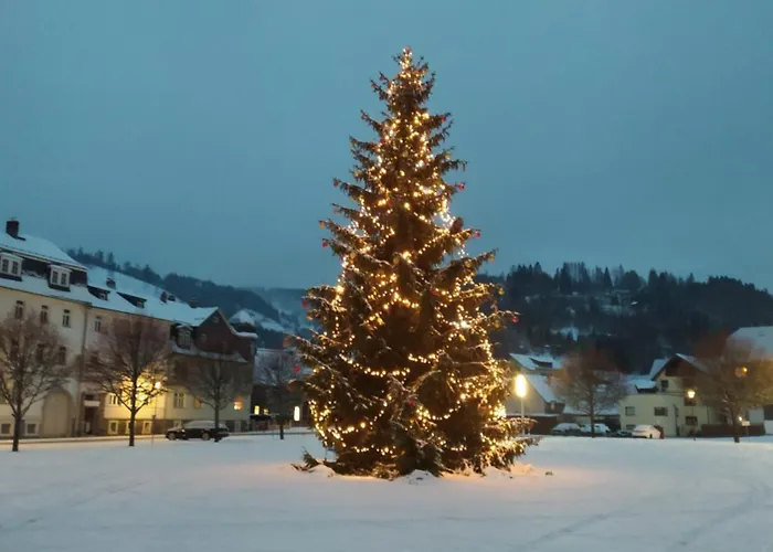 Steinachblick Appartement *