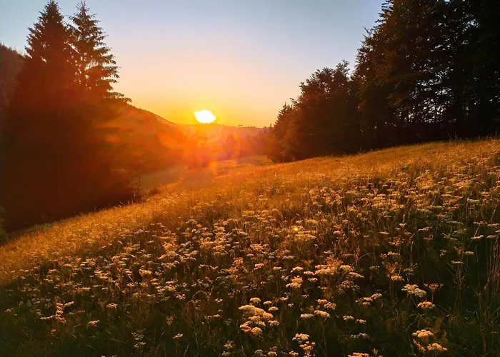 Steinachblick * Steinach (Thuringia)
