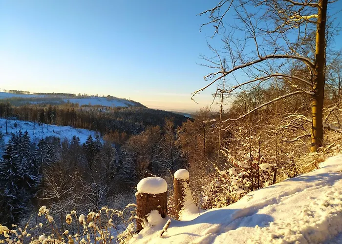 Steinachblick Appartement *