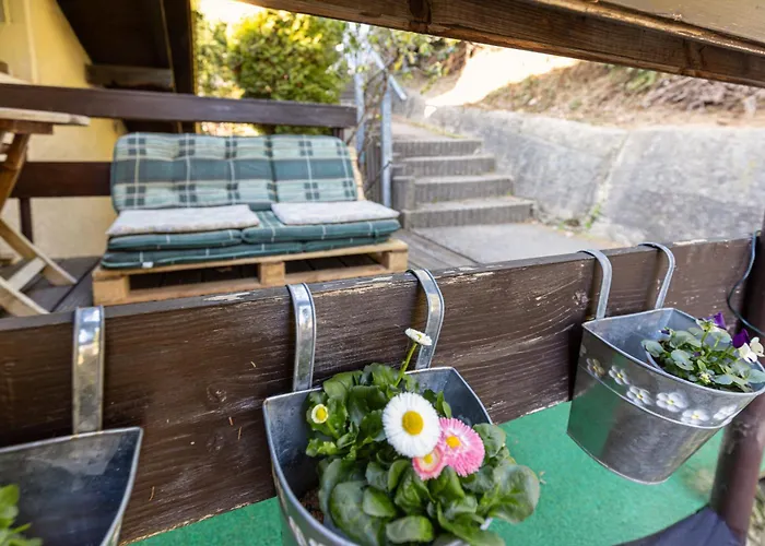 Steinachblick Appartement *